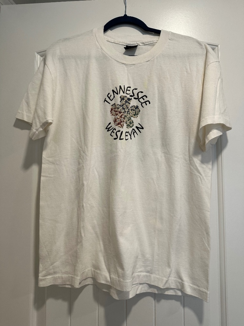 🎉HP🎉 Vintage Tennessee Wesleyan T-shirt